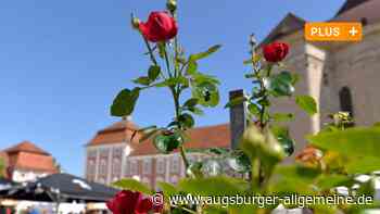 Gartenmesse Diga lässt das Kloster Wiblingen erblühen