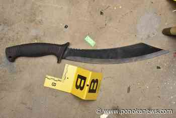 Alberta police watchdog investigating death of man wielding machete, knife