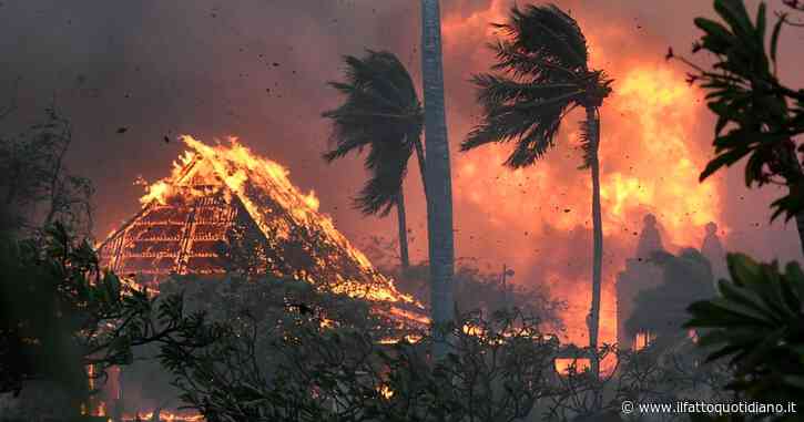 Incendi alle Hawaii: almeno 55 morti ma “il numero salirà in modo significativo”. Tajani: “Stiamo rintracciando 60 italiani”