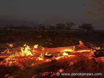 Canadian on Maui says ‘firestorm’ engulfed town, as death toll rises to 53