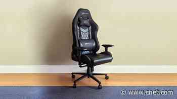 E-Win Champion Series Gaming Chair Review: Big Comfort for Less     - CNET