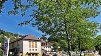 Calwer Millionenprojekt: Neue Kosten-Nutzen-Analyse: Ist der Tunnel in Gefahr?