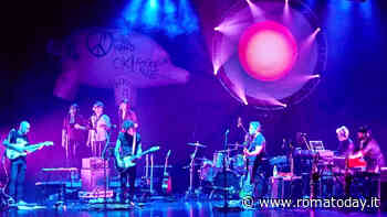 Animals Pink Floyd Experience