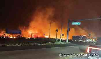Au moins 55 morts dans les incendies à Hawaï, les secouristes à la recherche des disparus