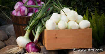 Tips and tricks for labor savings and back-of-house ease