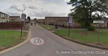 Boy attacked by dog in Bransholme 'entered the owner's garden' say police as investigations continue