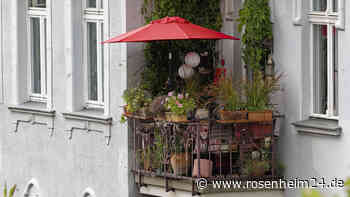 Der Sommer ist zurück: Was man jetzt beim Blumengießen auf dem Balkon beachten sollte