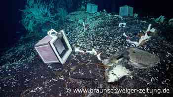 Forscher entdecken unbekanntes Ökosystem unter Tiefseevulkan