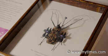 Discovering the Secrets of the Gilder Center