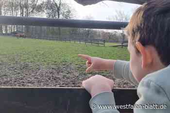 Kleiner Eddy (3) aus Steinhagen ist schwer krank