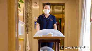 Maternity hotels, meal services, nannies for newborns — the Chinese postnatal traditions catching on in Australia