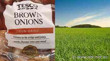 NZ onions are cheaper in the UK. How the country is trying to fix its grocery problem