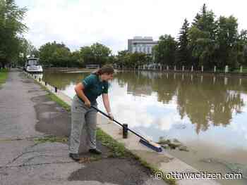 Cleanup continues following Ottawa's severe storm