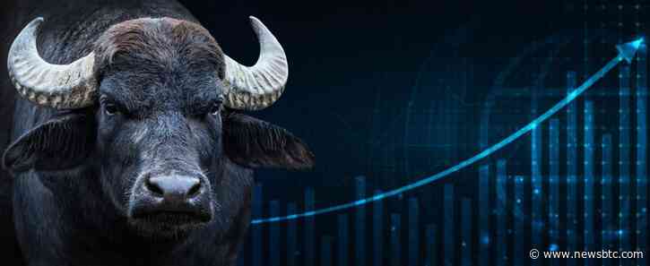 Cardano Q2 Surge: Stablecoin Soars, TVL Skyrockets, And Dapp Transactions Hit Record Highs