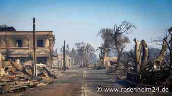 Bereits 67 Tote nach Bränden auf Hawaii