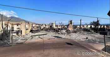 Colleagues rally behind family of Calgary man who lost homes on Maui