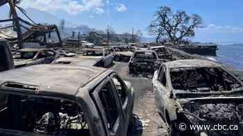 Maui officials say at least 67 deaths confirmed from devastating wildfires