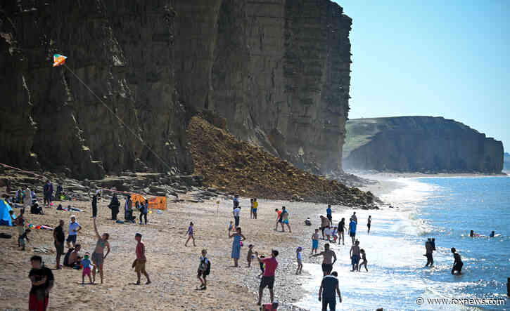 Beachgoers survive cliff collapse in stunning video of 'lucky escape'
