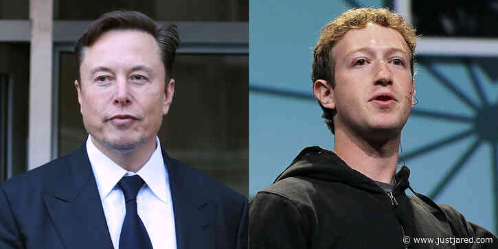 Elon Musk Paints Dramatic Image of Fighting Mark Zuckerberg in Latest Update