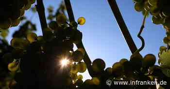 Stunden kein Strom: Schlag für Südafrikas Weinindustrie