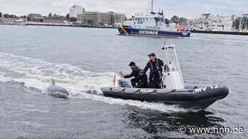 Delfin vor Rostock begleitet ausgerechnet Polizeiboot