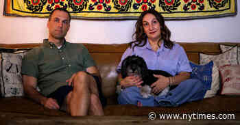 As Hollywood Strikes Roll On, Viewers Catch Up With a TV Glut