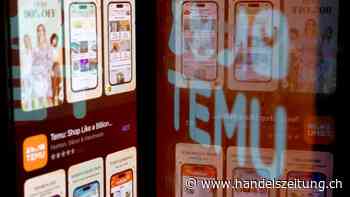 Temu versus Shein – oder die grosse Schlacht um Markanteile