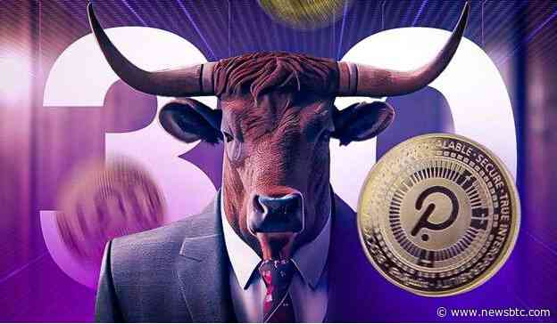 Polkadot Bearish Trends Set The Stage For Bullish Possibilities – Here’s Why