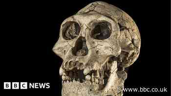 Big freeze drove early humans out of Europe