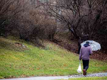 Weather: More rain, possible thunderstorm on the forecast Saturday