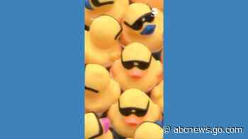 WATCH:  Thousands of rubber ducks float down Chicago River in annual Duck Derby