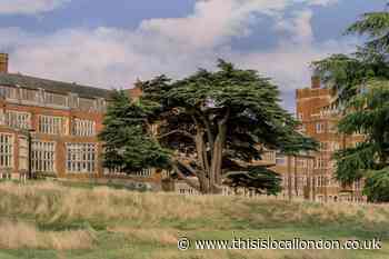 Birch Selsdon Hotel a relaxing break in Croydon, Surrey