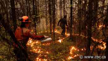 Why doesn't Canada have a national wildfire-fighting force?