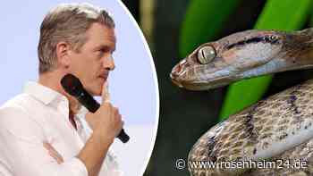 Markus Lanz spricht über Zeit nach Schlangenbiss: „Eine Woche war mir schlecht“