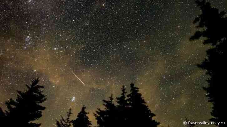 Look way up tonight: Annual Perseid meteor shower reaching its peak
