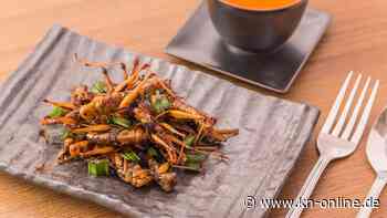 Krokodil-Ramen und Maus-Wein: 7 Delikatessen aus aller Welt