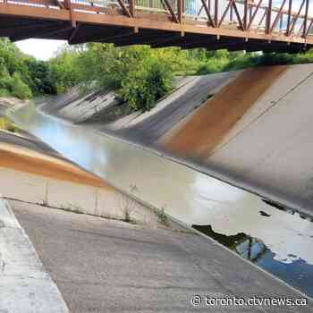 Waterbirds could be affected by 'potentially toxic substance' caused by massive industrial fire in Toronto area: wildlife centre
