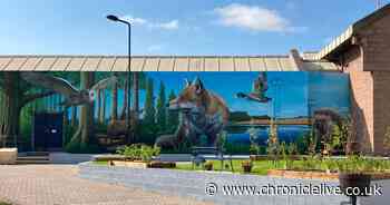 Behind the bars of Holme House Prison where inmates can do parkruns, care for animals and bake cakes