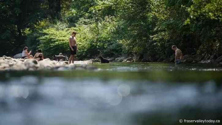 Environment Canada issues heat warnings for B.C.’s south coast ahead of heat wave