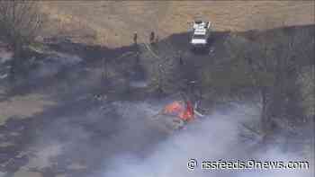 Woman accused of starting 10-acre wildfire pleads guilty