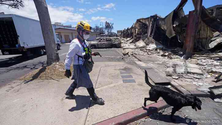X for clear, HR for human remains: Maui searches the ruins of a historic town after deadly fire