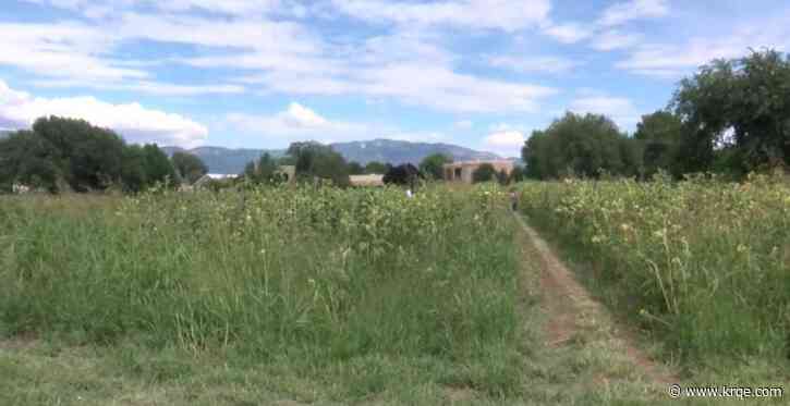 Big Jim Farms celebrates 2023's opening day with 'u-pick experience'