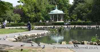 Which is your favourite Hull park? What four of the best have to offer