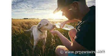 Purina Donates $25,000 to Help Pets and People Impacted by Hawaii Wildfires