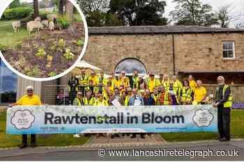 Judges descend on town for Rawtenstall in Bloom competition