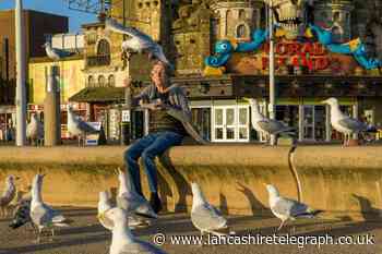 Blackpool plagued by seagulls that steal food and attack