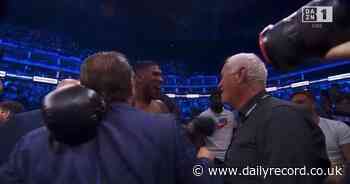 Anthony Joshua shuts Conor McGregor up after 'b****' blast as he backs up mate amid post fight spat