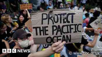 Fukushima nuclear disaster: Activists march against Tokyo's waste plan