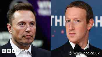 Italy could host Musk v Zuckerberg cage fight