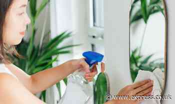 Glass expert shares easy way to clean windows and mirrors for ‘spotless’ results